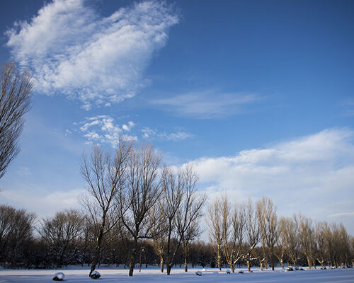 photo0000-4046