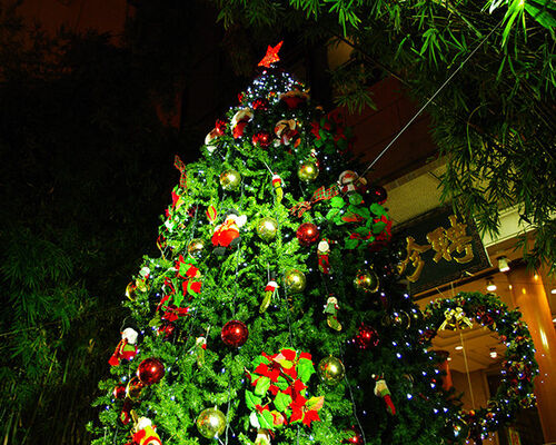 photo0000-1259