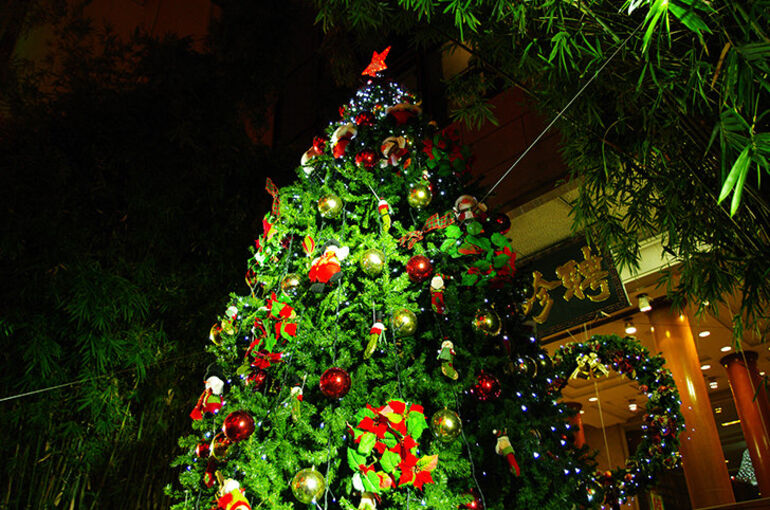photo0000-1259
