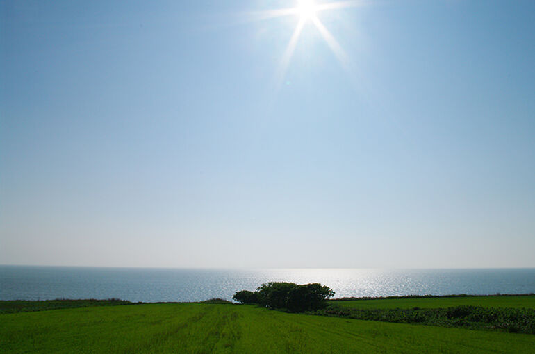 photo0000-0610