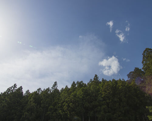 photo0000-4573