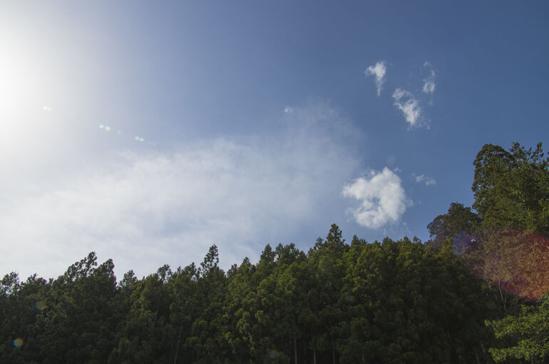 photo0000-4573