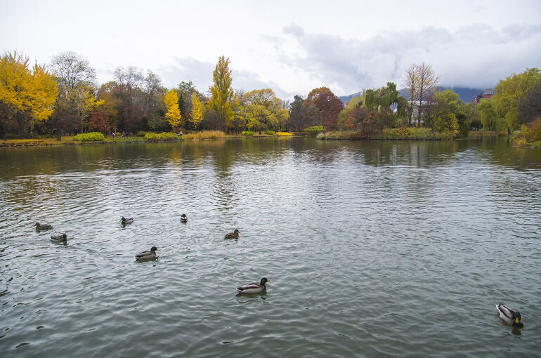 photo0000-3372