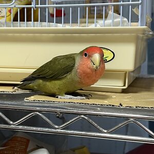 IMG_9962