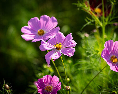 photo0000-6345