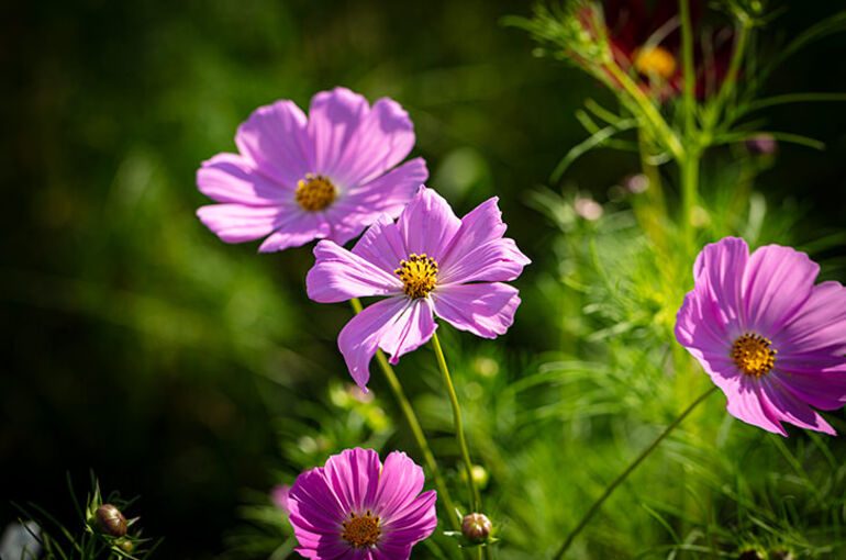 photo0000-6345